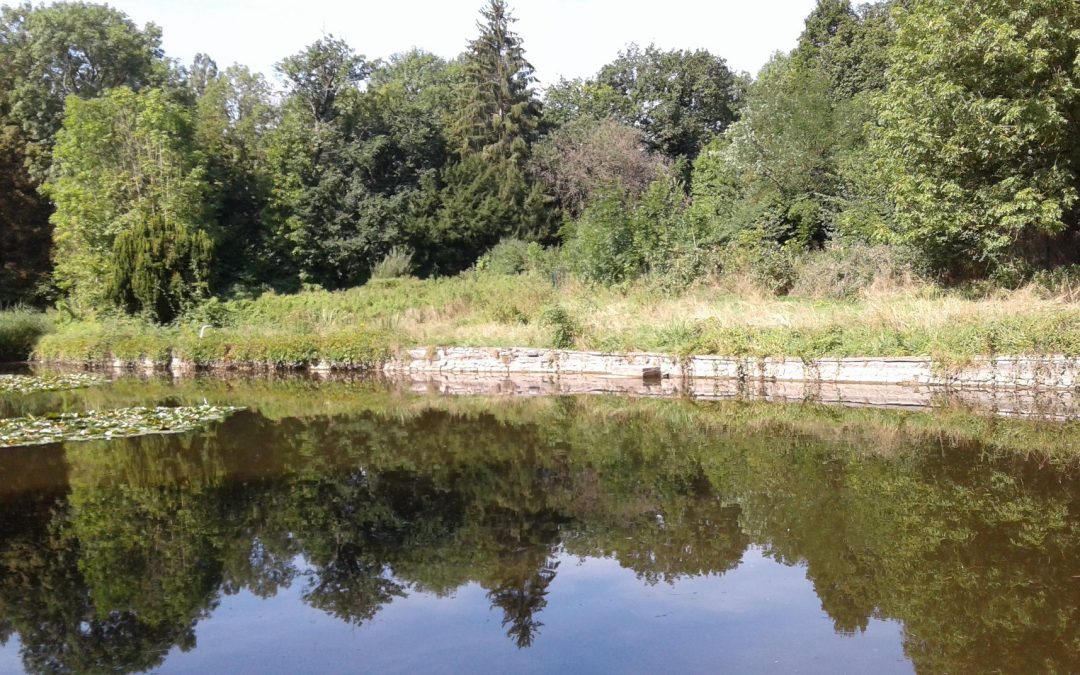 UNE LISTE D’ARGUMENTS POUR AIDER LES MARCHOIS A REAGIR A L’ENQUETE PUBLIQUE DU PROJET D’URBANISATION DU PARC DES PERES