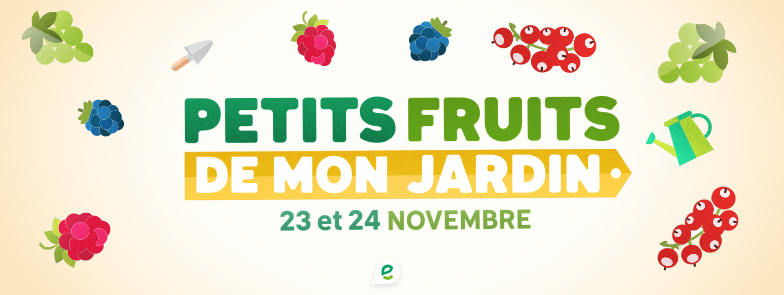 Petits fruits de mon jardin : distribution à Marche-en-Famenne