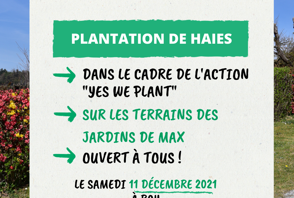 La locale ECOLO Marche-en-Famenne plantera des haies à Roy